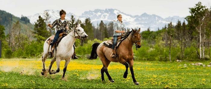 Confident plus-size woman riding Tilehurst a horse through a field with a smile on her face.